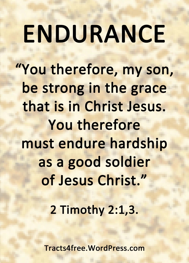 Endurance Christian poster. 2 Timothy 2:1,3.