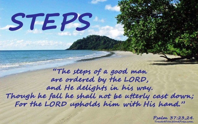 Steps poster. Psalm 37:.Photo and poster by David Clode.