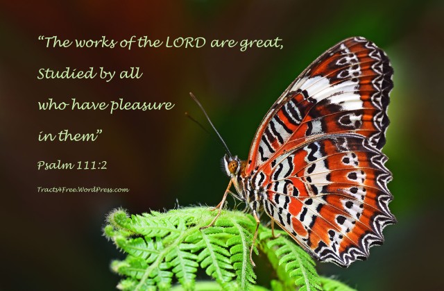 Psalm 111:1 Bible verse poster. Orange Lacewing butterfly on a developing fern frond. Cairns Botanic Gardens. Photo and poster by David Clode
